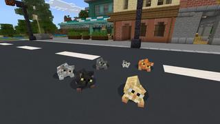 Screenshot of the Minecraft Bedrock Marketplace product Adopt Pets created by BLOCKLAB Studios.