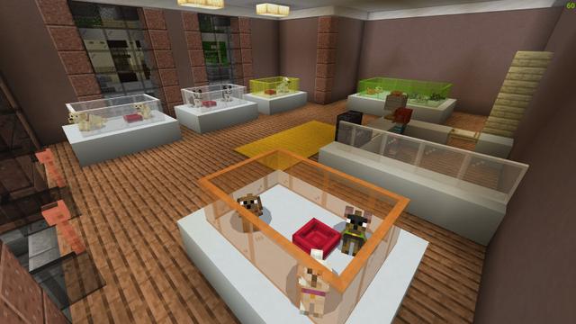 Screenshot of the Minecraft Bedrock Marketplace product Adopt Pets created by BLOCKLAB Studios.