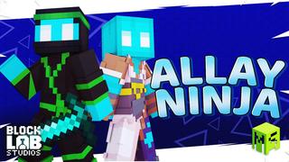 Thumbnail of the Minecraft Bedrock Marketplace product Allay Ninja created by BLOCKLAB Studios.