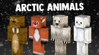 Thumbnail of the Minecraft Bedrock Marketplace product Arctic Animals created by BLOCKLAB Studios.