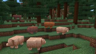 Screenshot of the Minecraft Bedrock Marketplace product Bears created by BLOCKLAB Studios.