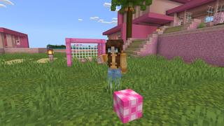 Screenshot of the Minecraft Bedrock Marketplace product Cute Dream House created by BLOCKLAB Studios.
