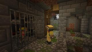 Screenshot of the Minecraft Bedrock Marketplace product Hidden Falls created by BLOCKLAB Studios.