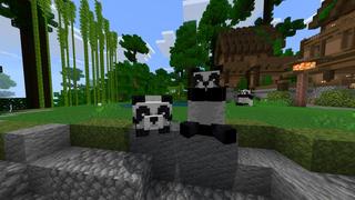 Screenshot of the Minecraft Bedrock Marketplace product Jungle Hideout created by BLOCKLAB Studios.