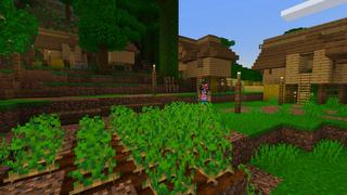 Screenshot of the Minecraft Bedrock Marketplace product Plane Crash created by BLOCKLAB Studios.