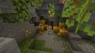 Screenshot of the Minecraft Bedrock Marketplace product Random Mob Drops created by BLOCKLAB Studios.