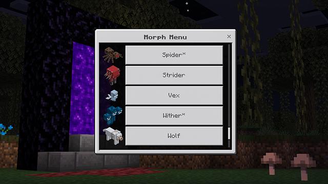 Screenshot of the Minecraft Bedrock Marketplace product MORPH [ADD-ON] created by Blocky.