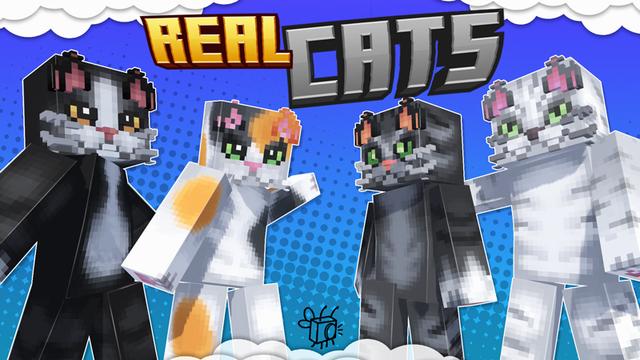 Thumbnail of the Minecraft Bedrock Marketplace product Real Cats HD created by Blu Shutter Bug.