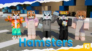 Thumbnail of the Minecraft Bedrock Marketplace product Hamsters created by Box Build.
