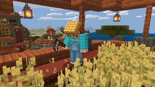 Screenshot of the Minecraft Bedrock Marketplace product Savanna Farm Village created by BTWN Creations.
