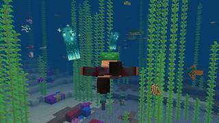 Screenshot of the Minecraft Bedrock Marketplace product Destiny Island created by Builders Horizon.