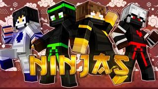 Thumbnail of the Minecraft Bedrock Marketplace product Ninjas created by Builders Horizon.