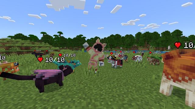 Screenshot of the Minecraft Bedrock Marketplace product Cat Expansion Add-On created by Bunny Studios.