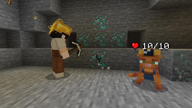 Screenshot of the Minecraft Bedrock Marketplace product Cat Expansion Add-On created by Bunny Studios.