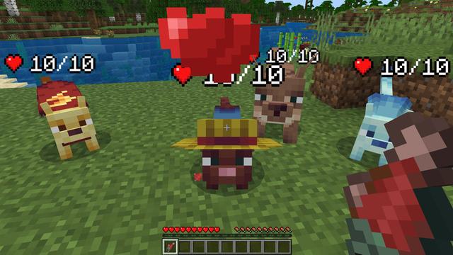 Screenshot of the Minecraft Bedrock Marketplace product Cat Expansion Add-On created by Bunny Studios.