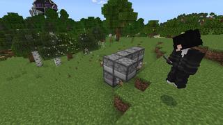 Screenshot of the Minecraft Bedrock Marketplace product Custom Pearls created by Bunny Studios.