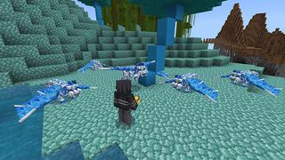 Screenshot of the Minecraft Bedrock Marketplace product Dragon Pets created by Bunny Studios.