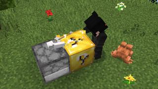 Screenshot of the Minecraft Bedrock Marketplace product Oneblock Captive Survival created by Bunny Studios.