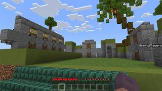 Screenshot of the Minecraft Bedrock Marketplace product Super Flower Race created by Bunny Studios.