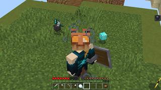 Screenshot of the Minecraft Bedrock Marketplace product Super Flower Race created by Bunny Studios.