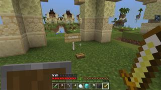 Screenshot of the Minecraft Bedrock Marketplace product Super Flower Race created by Bunny Studios.
