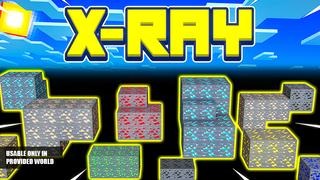 Thumbnail of the Minecraft Bedrock Marketplace product X-RAY created by Bunny Studios.