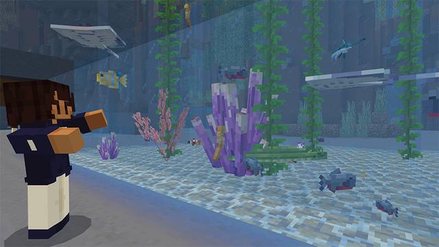 Screenshot of the Minecraft Bedrock Marketplace product Ocean Expansion created by CaptainSparklez.