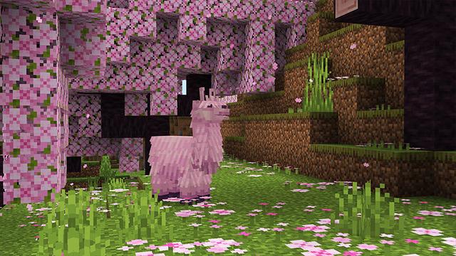 Screenshot of the Minecraft Bedrock Marketplace product My Little Llama Overhaul created by Carper Creative.