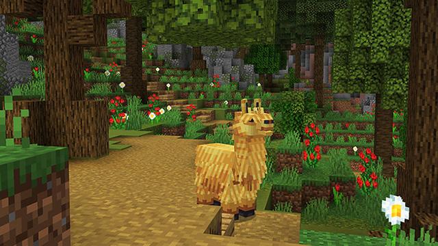 Screenshot of the Minecraft Bedrock Marketplace product The Llama Glama Gang created by Carper Creative.