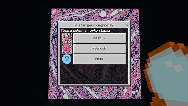 Screenshot of the Minecraft Bedrock Marketplace product Detect & Diagnose created by Causeway Digital.