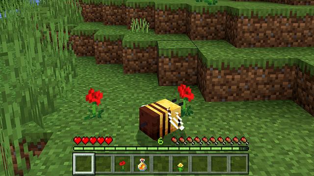 Screenshot of the Minecraft Bedrock Marketplace product Become A BEE! created by ChewMingo.