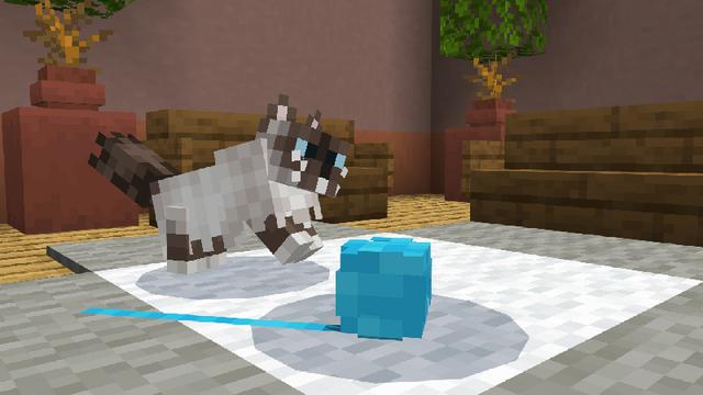 Screenshot of the Minecraft Bedrock Marketplace product CATS Add-On created by ChewMingo.