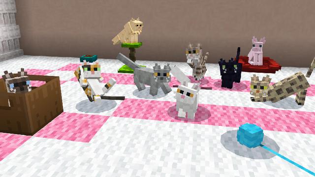 Screenshot of the Minecraft Bedrock Marketplace product CATS Add-On created by ChewMingo.