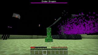 Screenshot of the Minecraft Bedrock Marketplace product CREEPER created by ChewMingo.