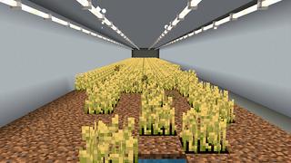 Screenshot of the Minecraft Bedrock Marketplace product LAVA BUNKER created by ChewMingo.