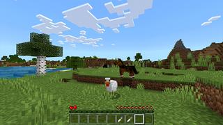 Screenshot of the Minecraft Bedrock Marketplace product MORPH into MOBS created by ChewMingo.