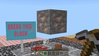 Screenshot of the Minecraft Bedrock Marketplace product REALISM ONE BLOCK created by ChewMingo.