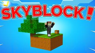 Thumbnail of the Minecraft Bedrock Marketplace product Skyblock ! created by ChewMingo.