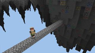 Screenshot of the Minecraft Bedrock Marketplace product Skyblock Bugs created by ChewMingo.