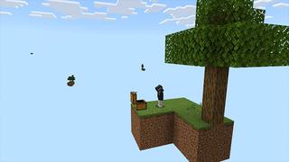 Screenshot of the Minecraft Bedrock Marketplace product Skyblock Worlds created by ChewMingo.