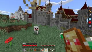 Screenshot of the Minecraft Bedrock Marketplace product Totem Tools created by ChewMingo.