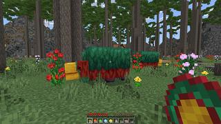 Screenshot of the Minecraft Bedrock Marketplace product Advanced Pearls created by Chillcraft.