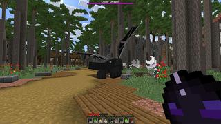 Screenshot of the Minecraft Bedrock Marketplace product Advanced Pearls created by Chillcraft.