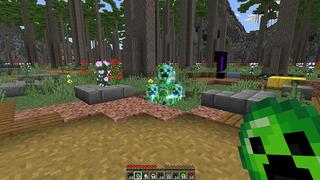 Screenshot of the Minecraft Bedrock Marketplace product Advanced Pearls created by Chillcraft.