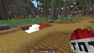 Screenshot of the Minecraft Bedrock Marketplace product Advanced Pearls created by Chillcraft.