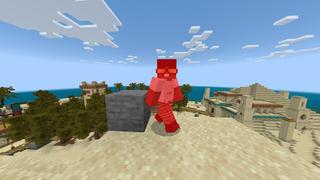 Screenshot of the Minecraft Bedrock Marketplace product Don't Touch The Sand created by Chillcraft.