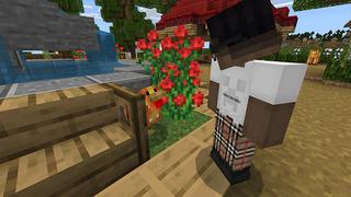 Screenshot of the Minecraft Bedrock Marketplace product Lucky Mobs created by Chillcraft.