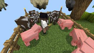 Screenshot of the Minecraft Bedrock Marketplace product One Block created by Chillcraft.