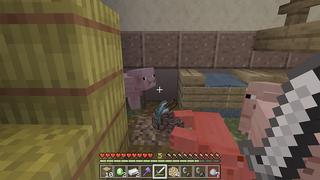 Screenshot of the Minecraft Bedrock Marketplace product Random Loot created by Chillcraft.