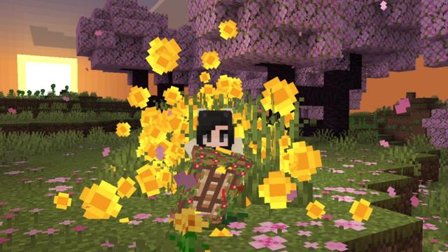 Screenshot of the Minecraft Bedrock Marketplace product Shields++ created by Chillcraft.